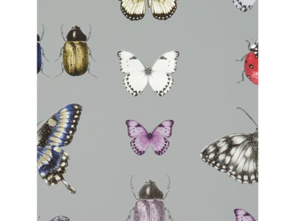 Papilio Heather/Gilver