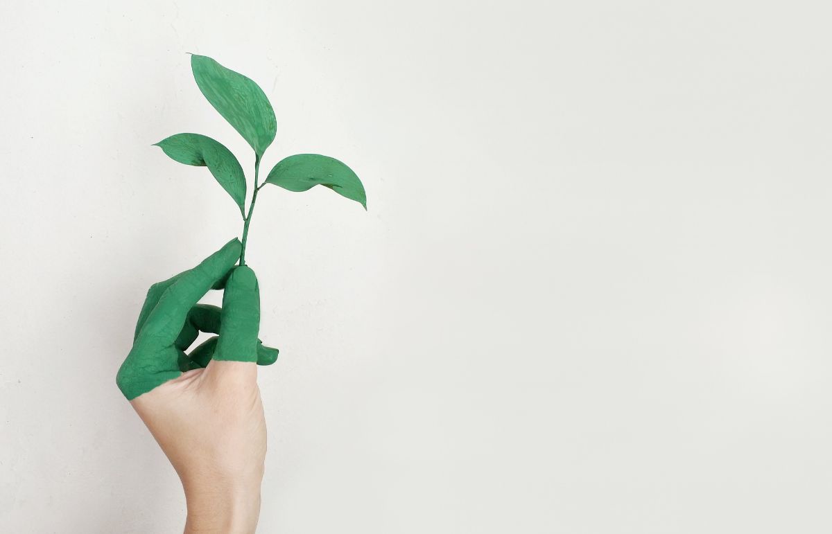 Choosing the perfect paint for your home interior