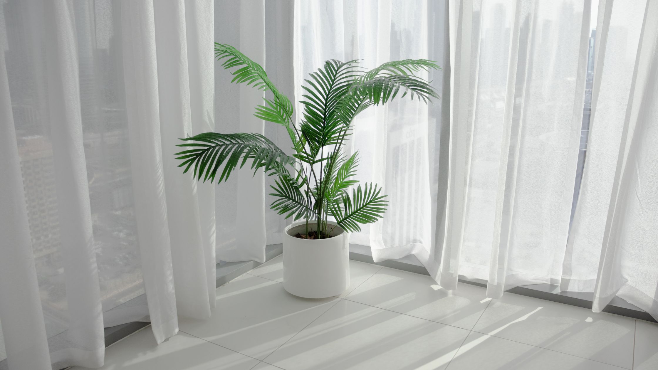 curtain trends