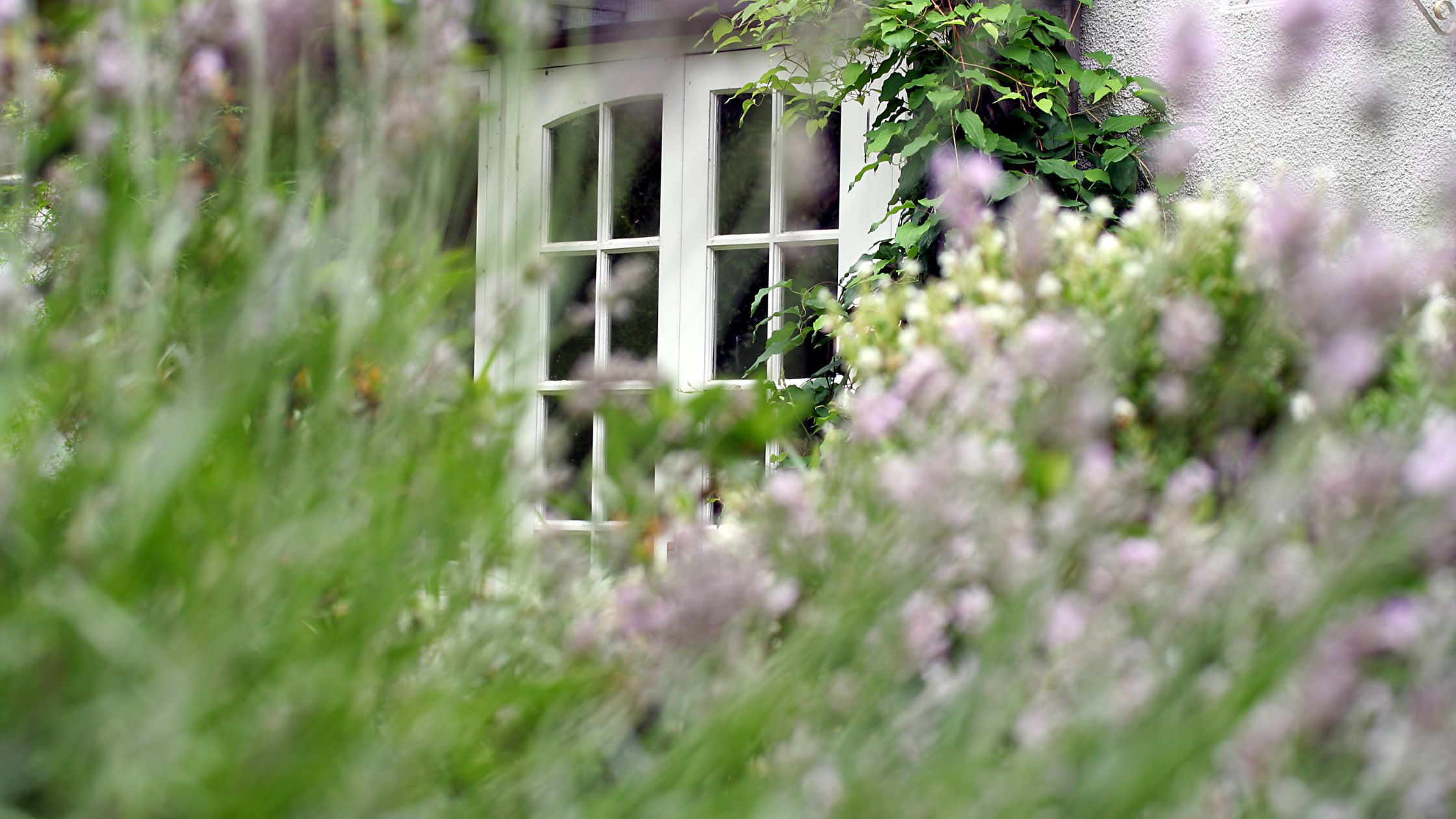 cottage interiors